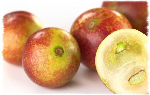 Jagody Camu Camu - rekord zawartoci witaminy C